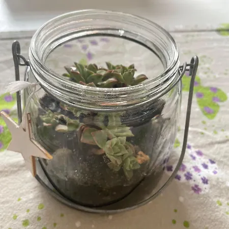 Casa Cleotti 아파트