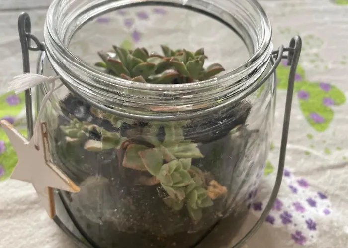 Casa Cleotti Apartamento